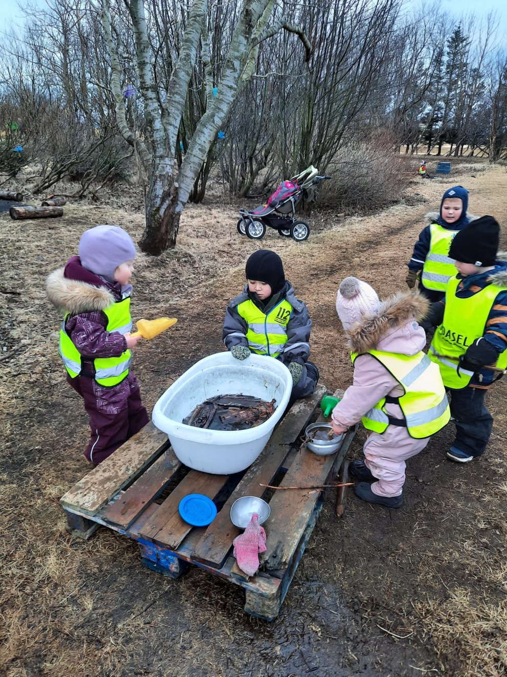 Útinám í skógræktinni