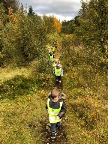 Holtið í skógræktinni í dag