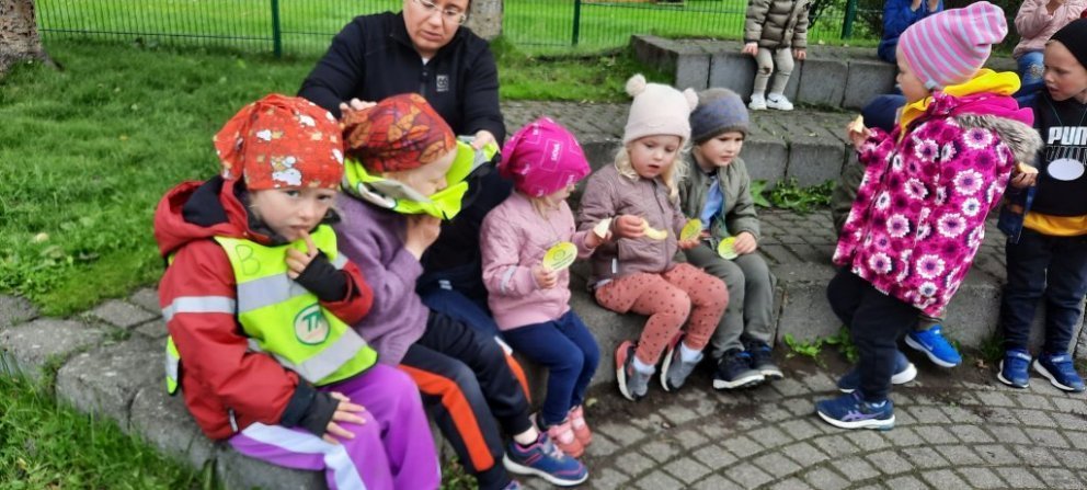 Heilsuskokkið í dag