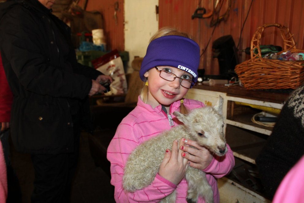 Lambaferðin velheppnuð og myndir komnar inn