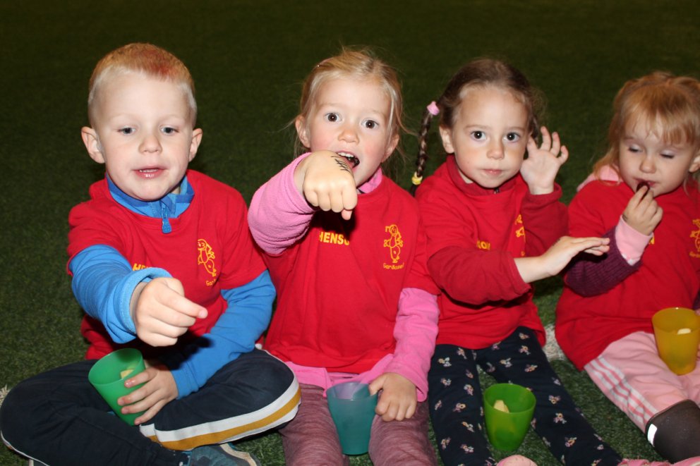 Heilsuskokkið í dag