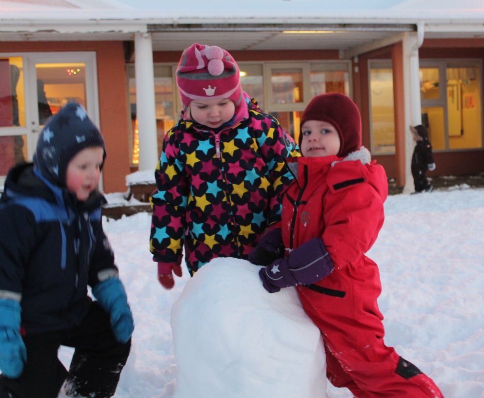 Snjór og meiri snjór