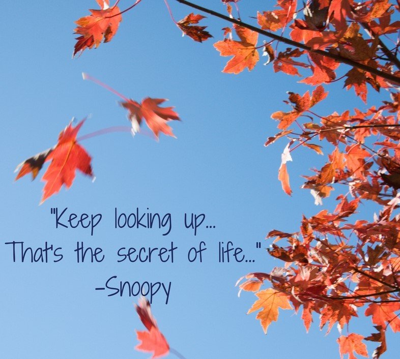 Óbreytt fyrirmæli í COVID