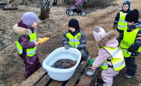 Útinám í skógræktinni