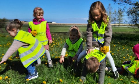 Skógræktin í fallegu veðri í morgun