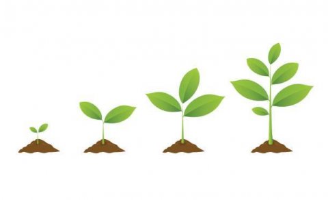 Aðlögun að klárast