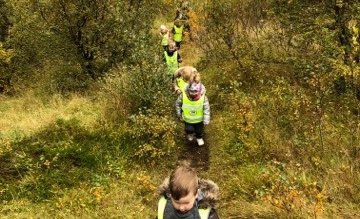 Holtið í skógræktinni í dag