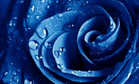 Blár dagur einhverfunnar