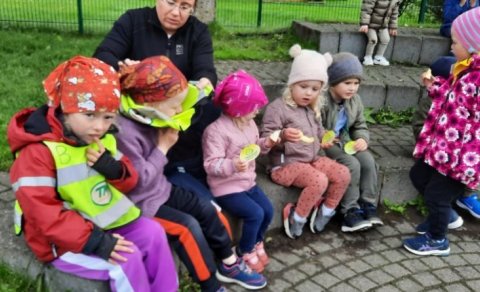 Heilsuskokkið í dag