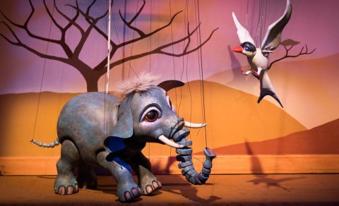 Leiksýningin Íslenski fíllinn