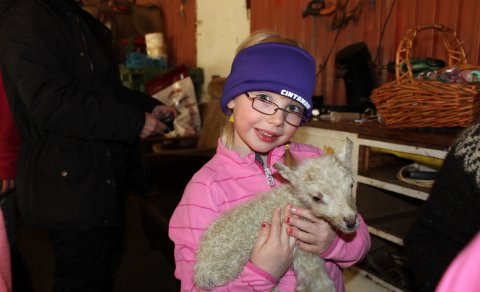 Lambaferðin velheppnuð og myndir komnar inn