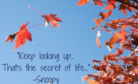 Óbreytt fyrirmæli í COVID