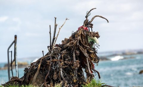 Barnamenninghátíð Akraneskaupstaðar 23.-31. maí 2024.